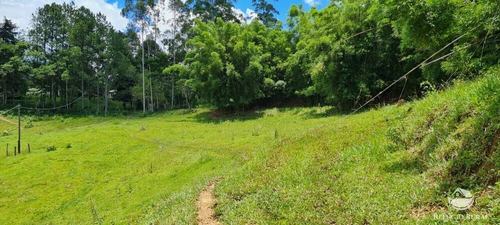 Sítio à venda com 3 quartos, 47500m² - Foto 21