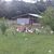 Sítio, 3 quartos, 5 hectares - Foto 23