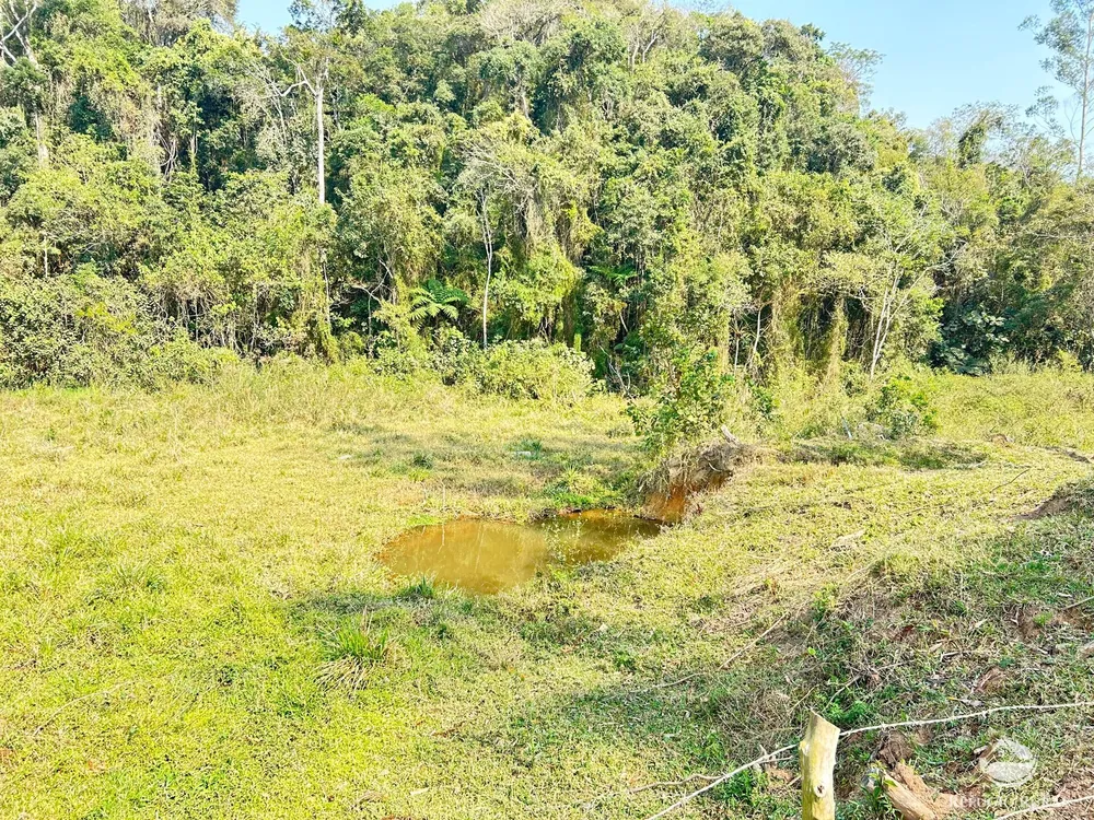 Sítio, 10 hectares - Foto 4