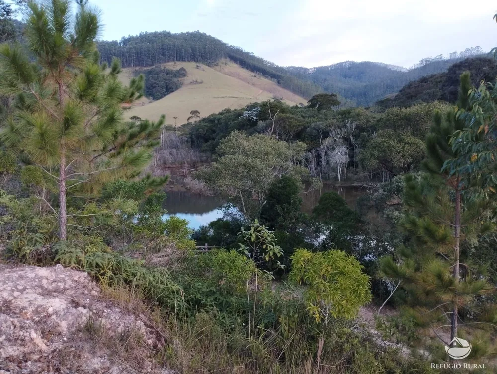 Fazenda, 150 hectares - Foto 41