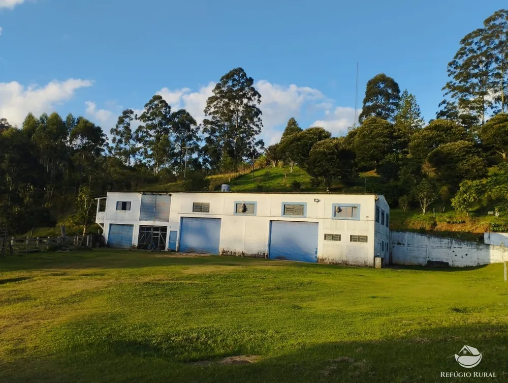 Fazenda, 150 hectares - Foto 47