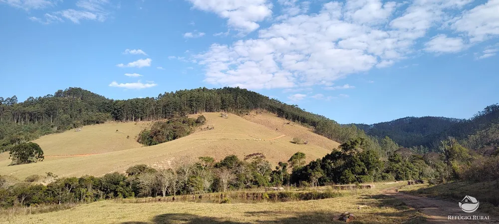 Fazenda, 150 hectares - Foto 37