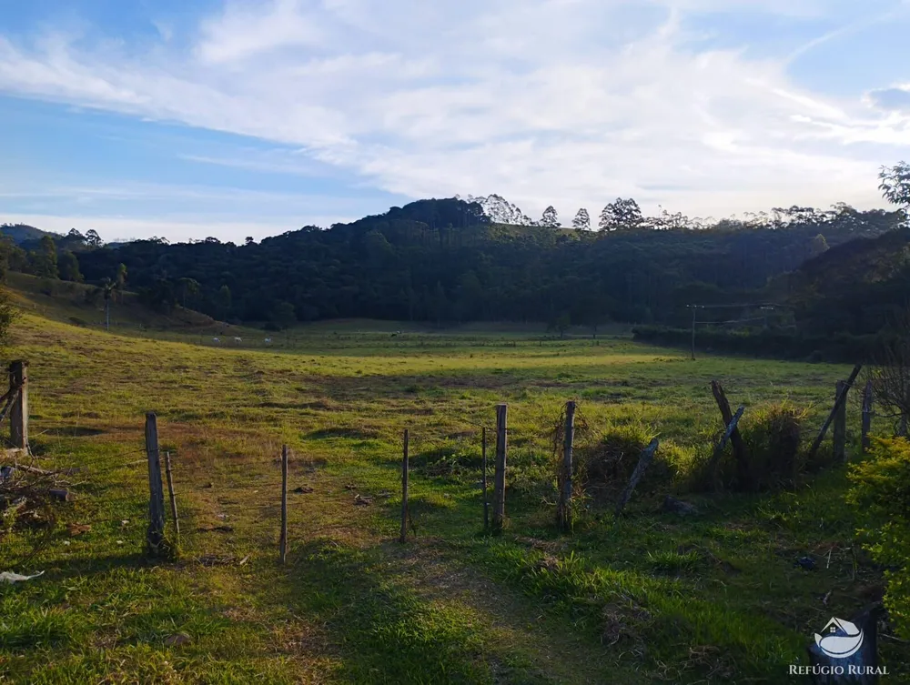 Fazenda, 150 hectares - Foto 48