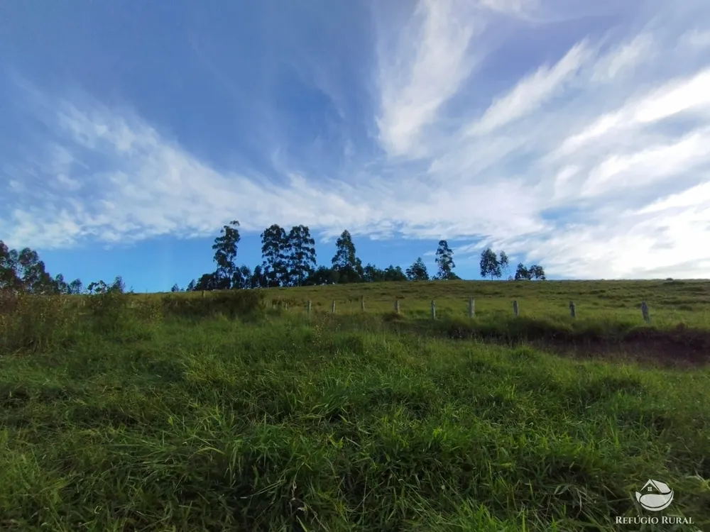 Fazenda, 150 hectares - Foto 39