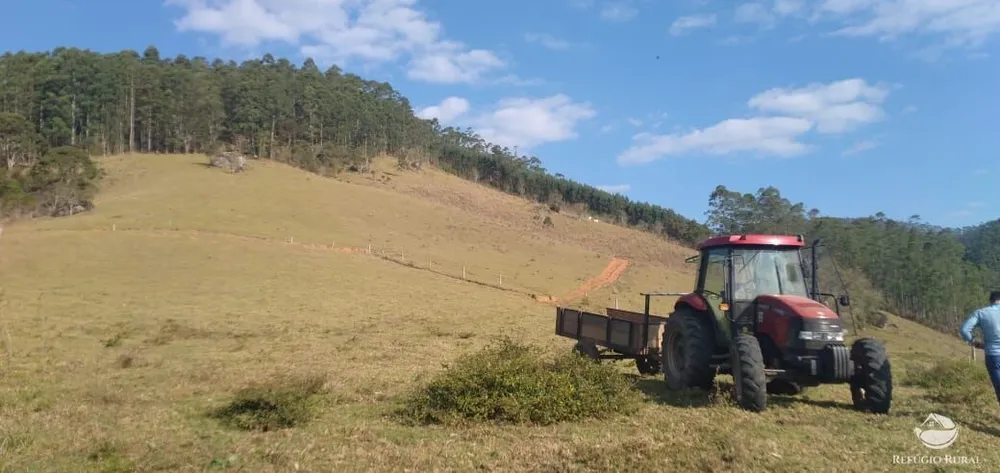 Fazenda, 150 hectares - Foto 42