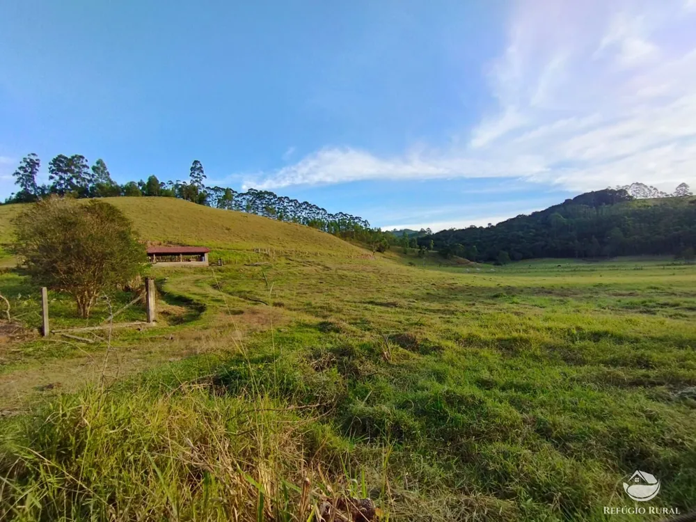 Fazenda, 150 hectares - Foto 38