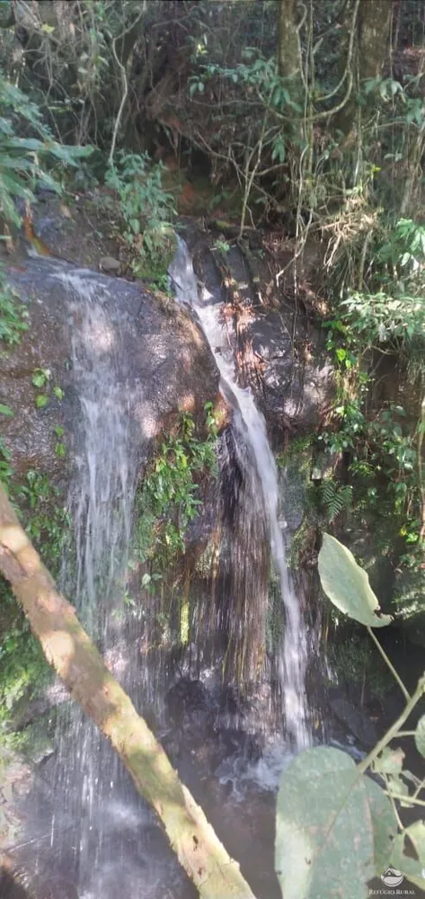 Fazenda, 150 hectares - Foto 44
