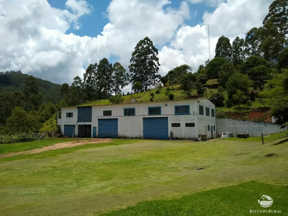 Fazenda, 150 hectares - Foto 46