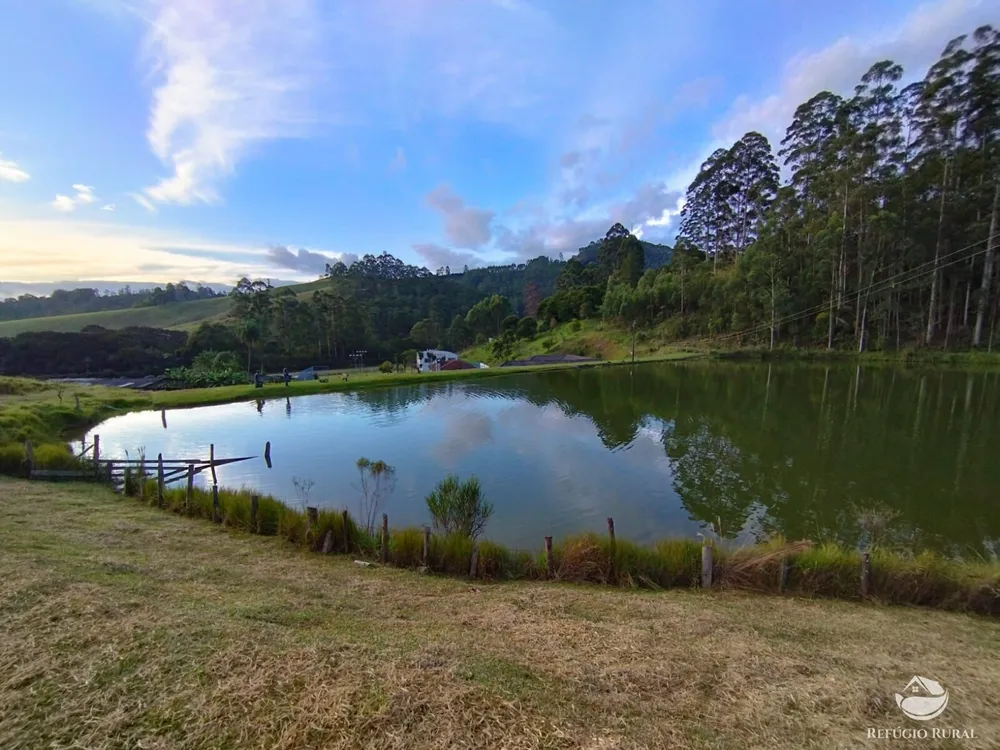 Fazenda, 150 hectares - Foto 43