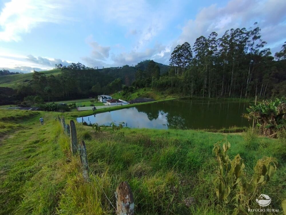 Fazenda-Sítio-Chácara, 150 hectares - Foto 25