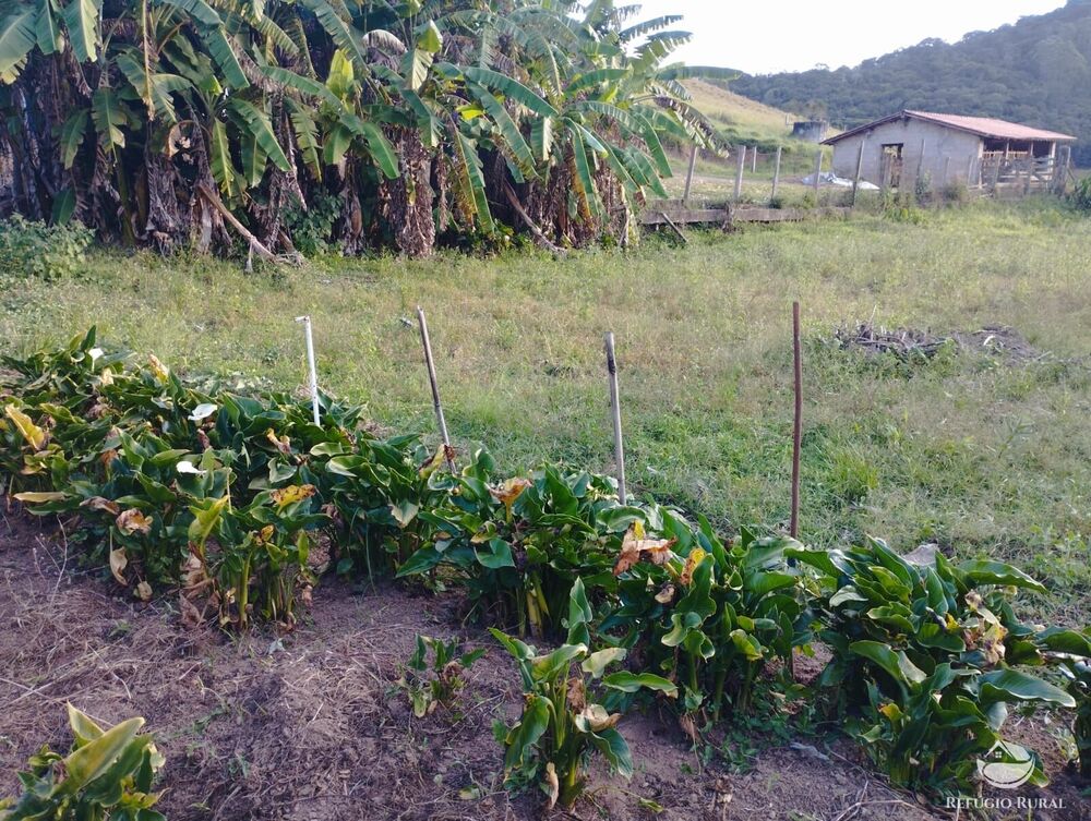 Fazenda-Sítio-Chácara, 150 hectares - Foto 10