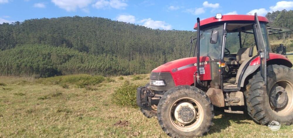 Fazenda-Sítio-Chácara, 150 hectares - Foto 34