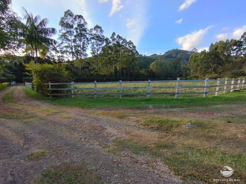 Fazenda-Sítio-Chácara, 150 hectares - Foto 17