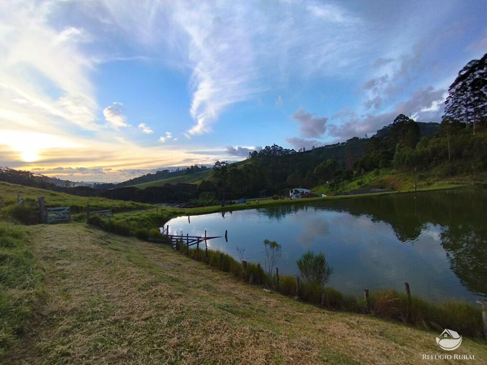 Fazenda-Sítio-Chácara, 150 hectares - Foto 27