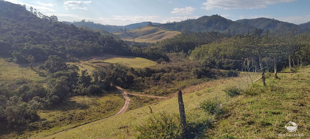 Fazenda-Sítio-Chácara, 150 hectares - Foto 36