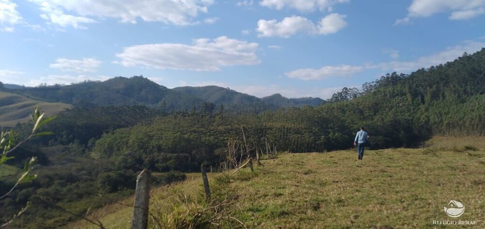 Fazenda-Sítio-Chácara, 150 hectares - Foto 33