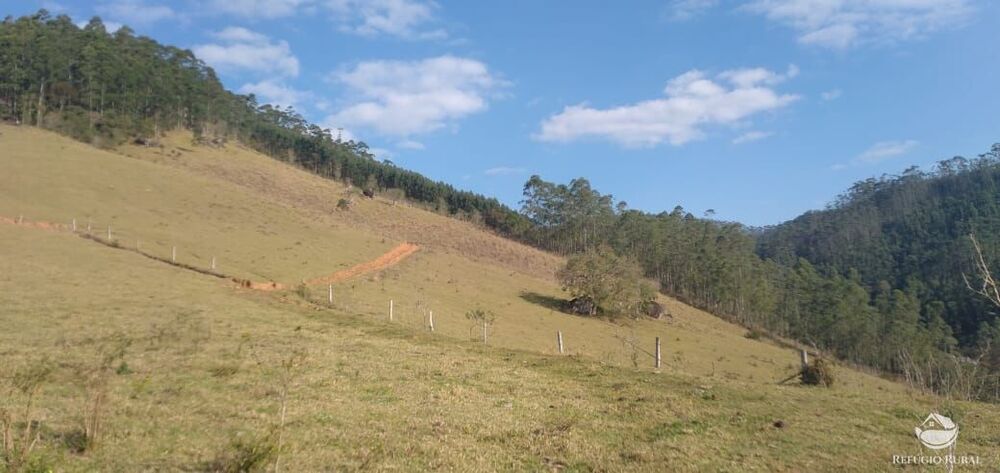 Fazenda-Sítio-Chácara, 150 hectares - Foto 35