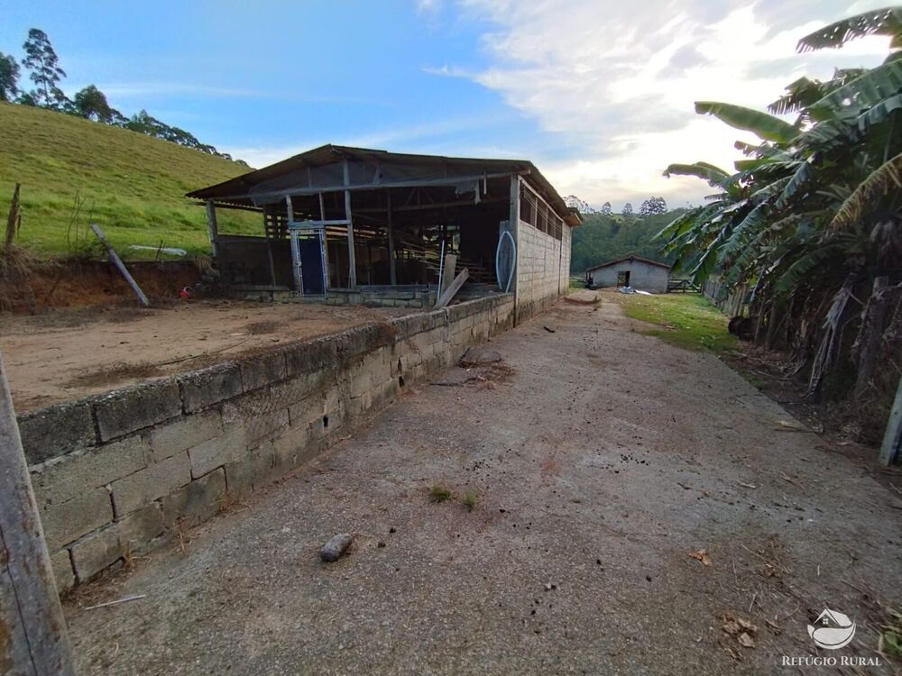 Fazenda-Sítio-Chácara, 150 hectares - Foto 30