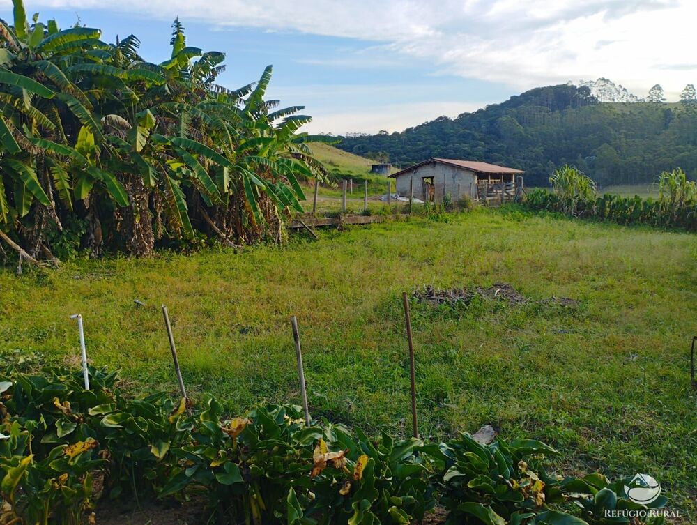 Fazenda-Sítio-Chácara, 150 hectares - Foto 13
