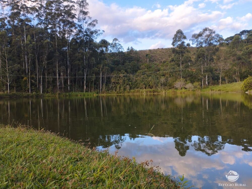 Fazenda-Sítio-Chácara, 150 hectares - Foto 3