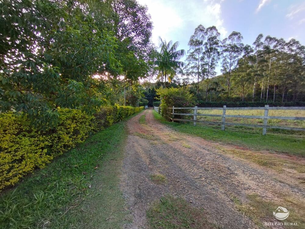 Fazenda-Sítio-Chácara, 150 hectares - Foto 11