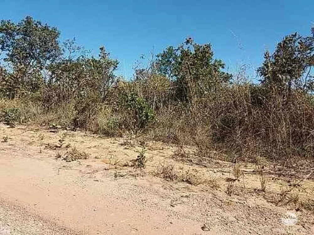 Fazenda, 2500 hectares - Foto 6