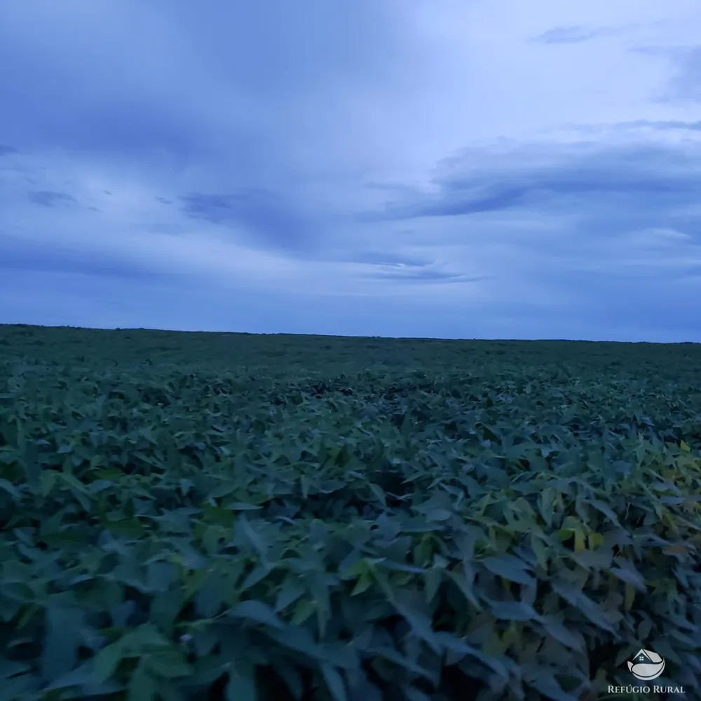 Fazenda, 2500 hectares - Foto 3