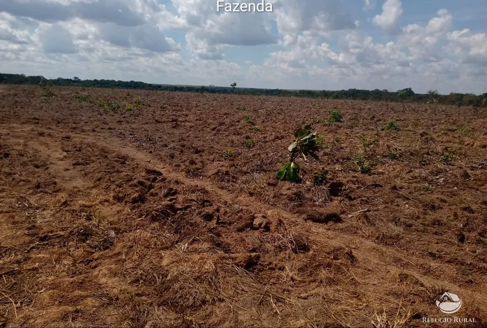 Fazenda, 2500 hectares - Foto 7
