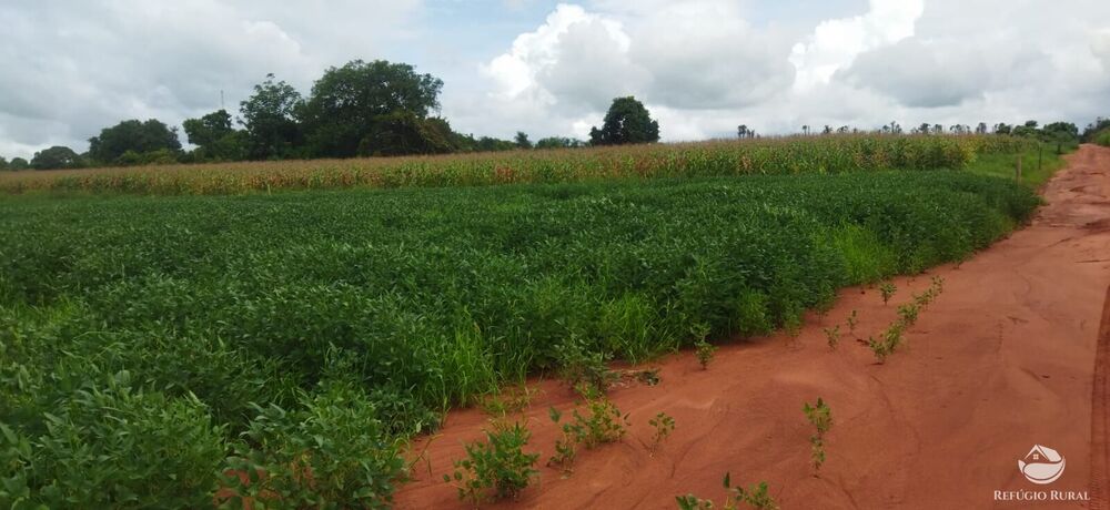 Sítio, 1 quarto, 10 hectares - Foto 3