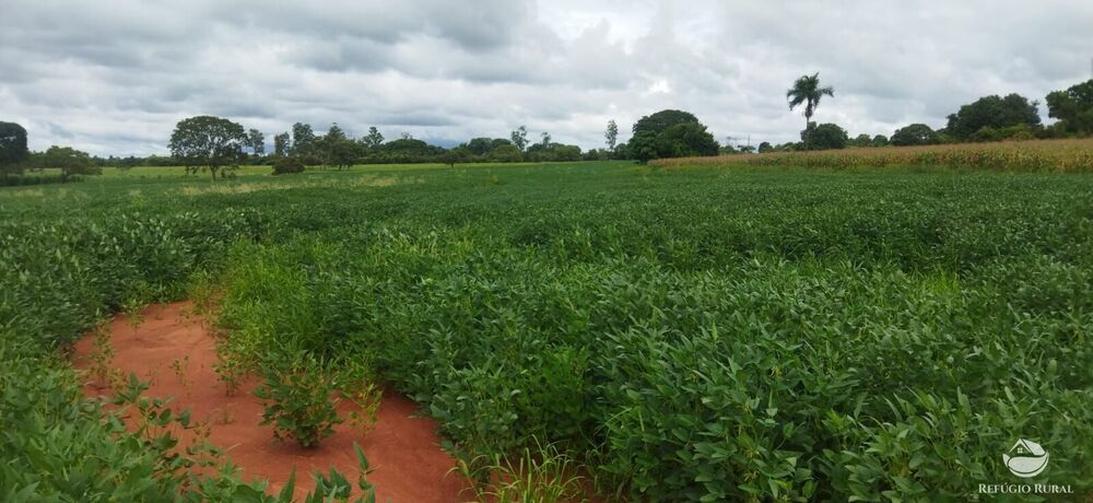 Sítio, 1 quarto, 10 hectares - Foto 1