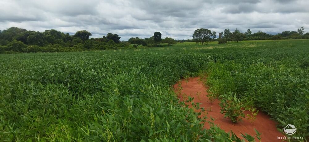 Sítio, 1 quarto, 10 hectares - Foto 2