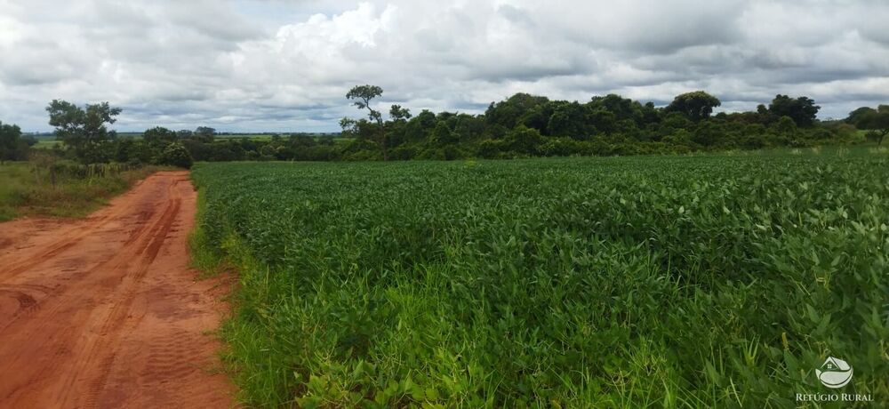 Sítio, 1 quarto, 10 hectares - Foto 4