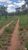 Fazenda-Sítio-Chácara, 152 hectares - Foto 5
