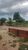 Fazenda, 152 hectares - Foto 3