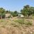 Fazenda-Sítio-Chácara, 152 hectares - Foto 1