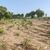 Fazenda-Sítio-Chácara, 152 hectares - Foto 2