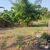 Fazenda-Sítio-Chácara, 152 hectares - Foto 4