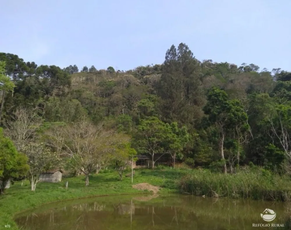 Sítio, 7 hectares - Foto 1
