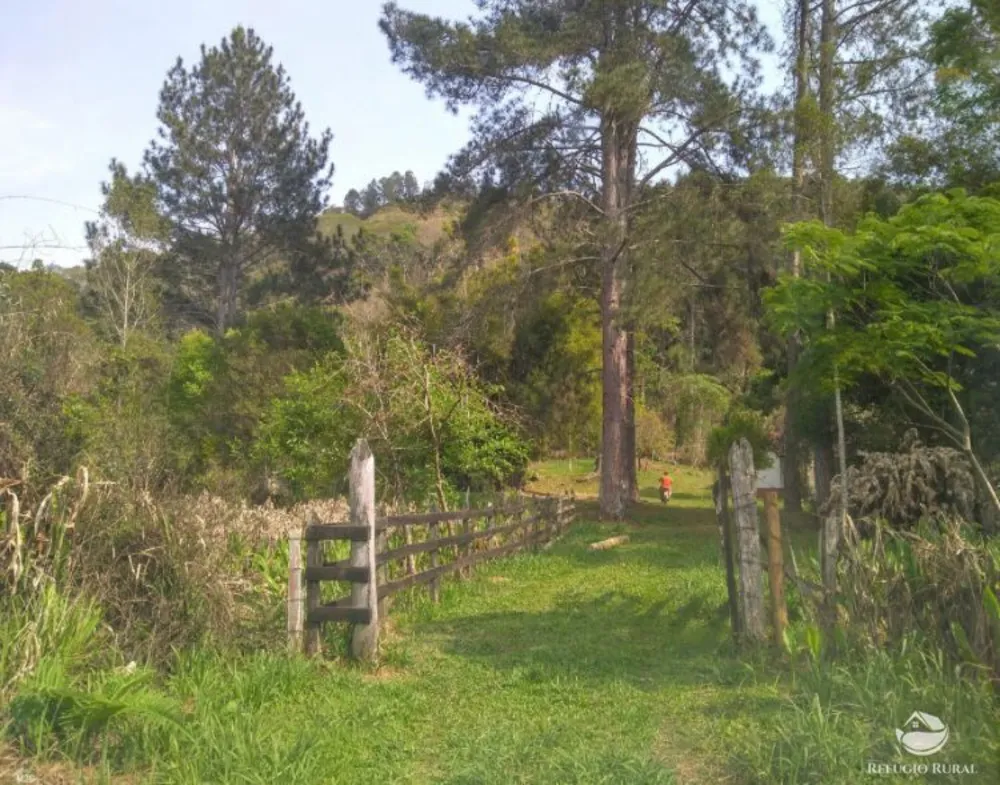 Sítio, 7 hectares - Foto 15