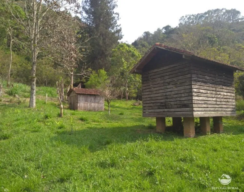 Sítio, 7 hectares - Foto 16