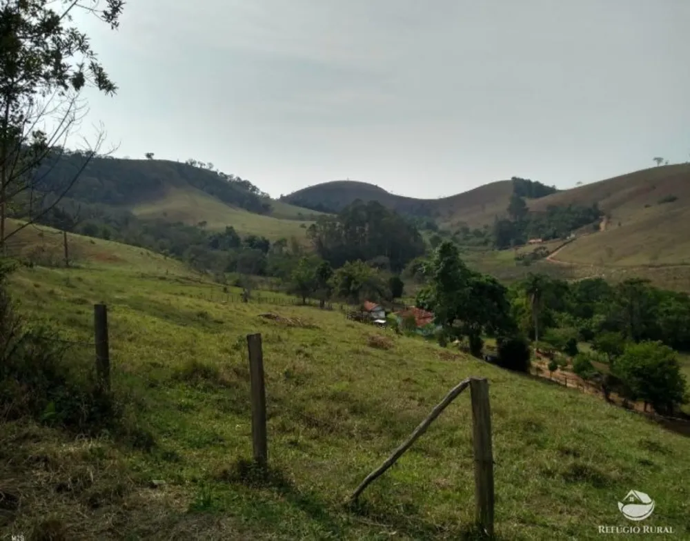 Sítio, 7 hectares - Foto 11
