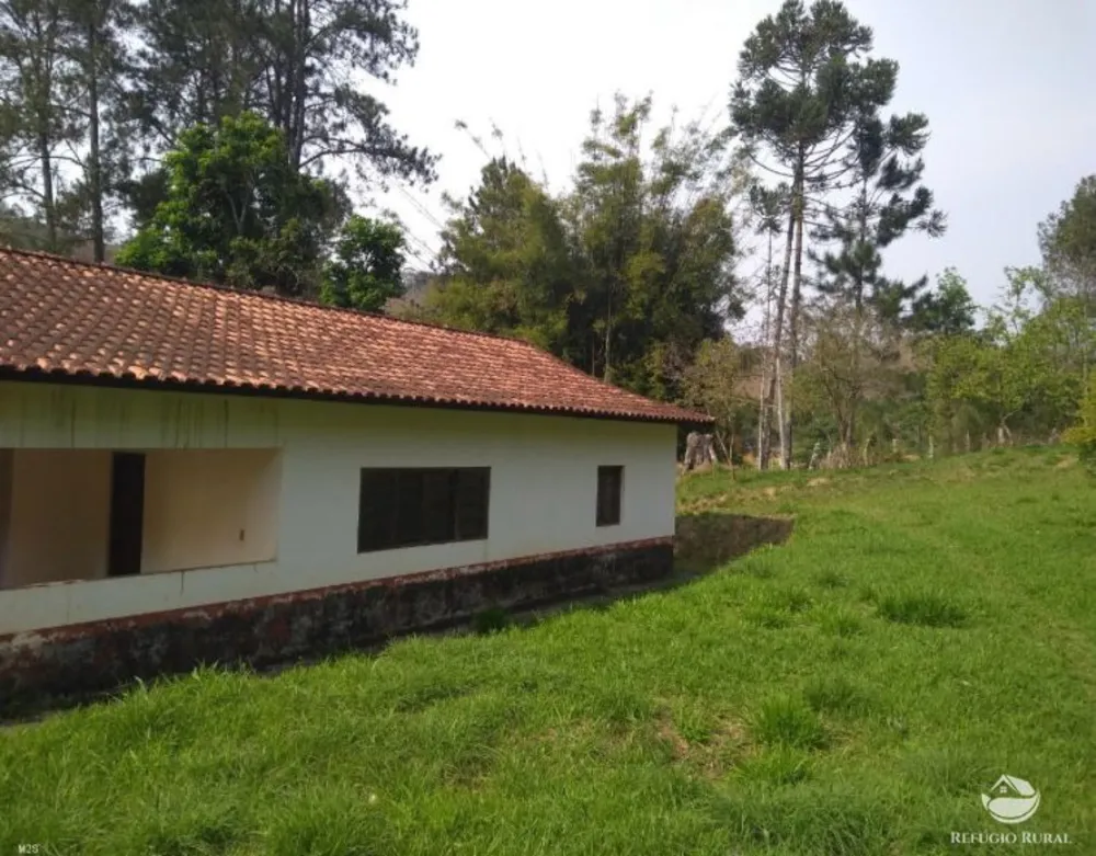 Sítio, 7 hectares - Foto 10