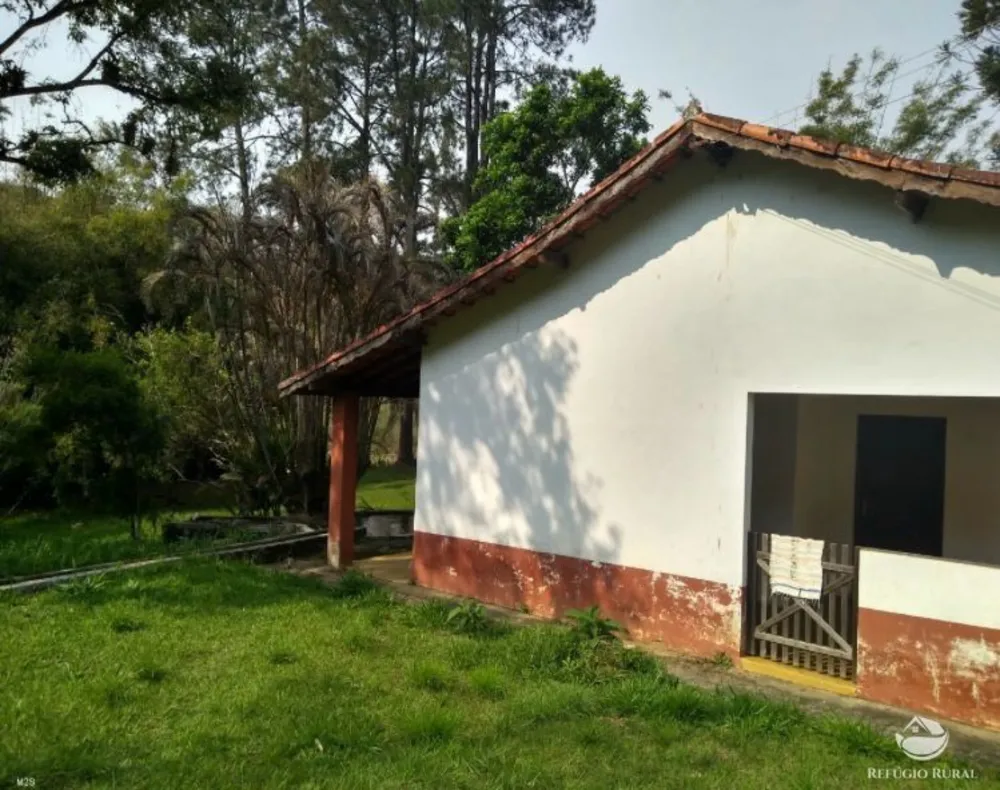Sítio, 7 hectares - Foto 13