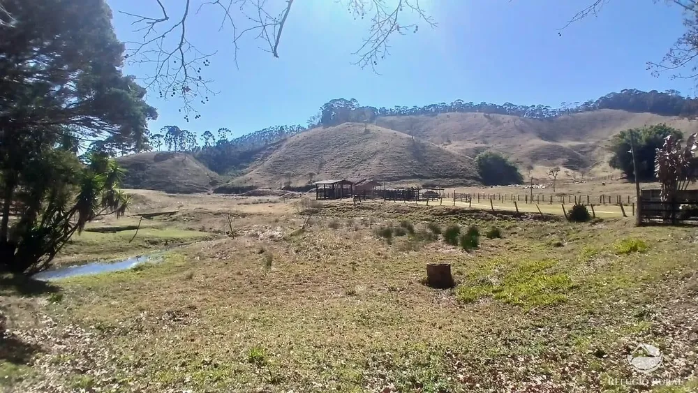Sítio, 111 hectares - Foto 7
