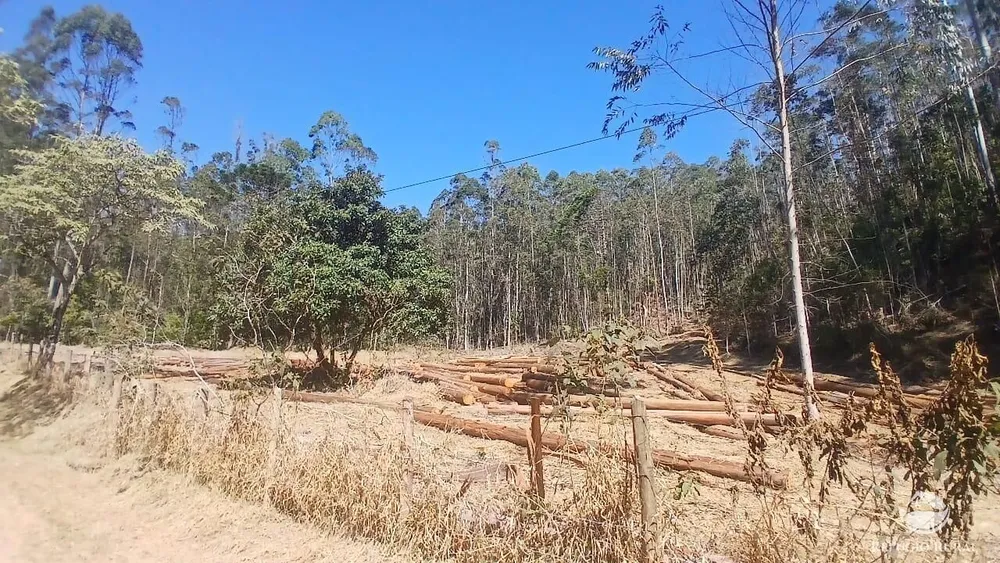 Sítio, 111 hectares - Foto 12