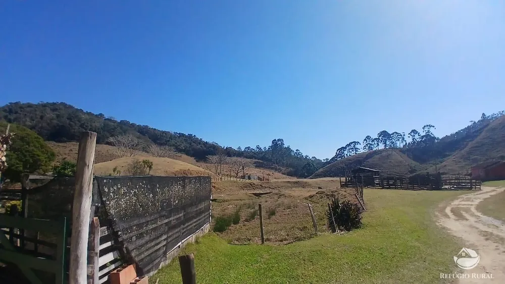 Sítio, 111 hectares - Foto 13