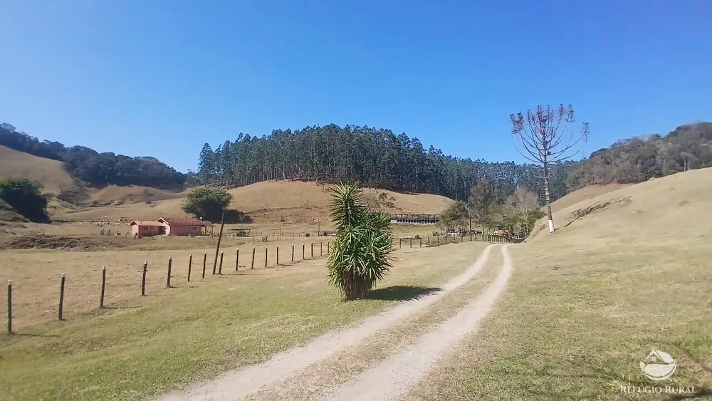 Sítio, 111 hectares - Foto 8