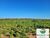 Fazenda-Sítio-Chácara, 3727 hectares - Foto 1