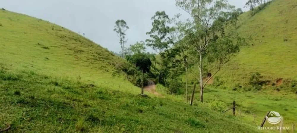 Terreno, 12 hectares - Foto 10