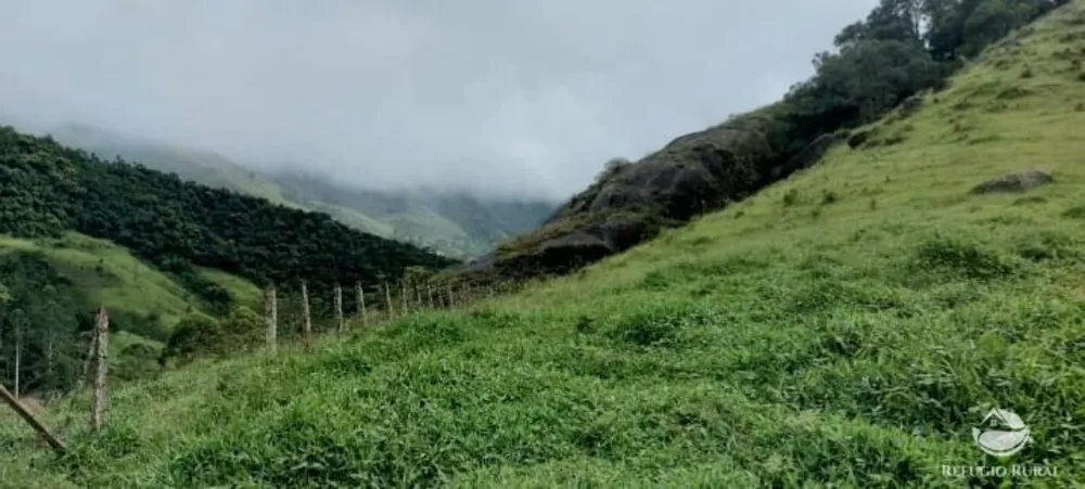 Terreno, 12 hectares - Foto 14